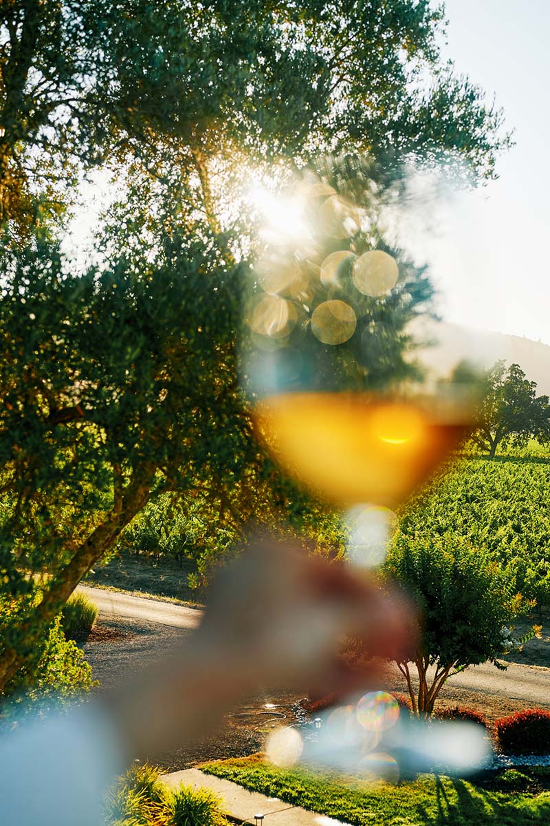 Experience Temecula: Wine-Country Living at Its Finest