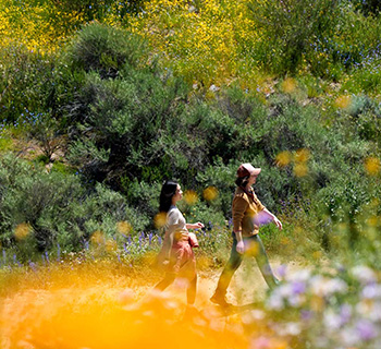 Outdoor Adventures and Recreation in Temecula: Your Complete Guide
