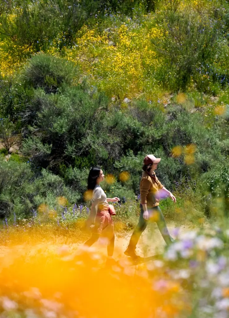 Temecula_hiking-trails_and_open_space
